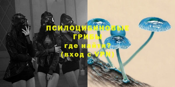 прущая мука Медногорск